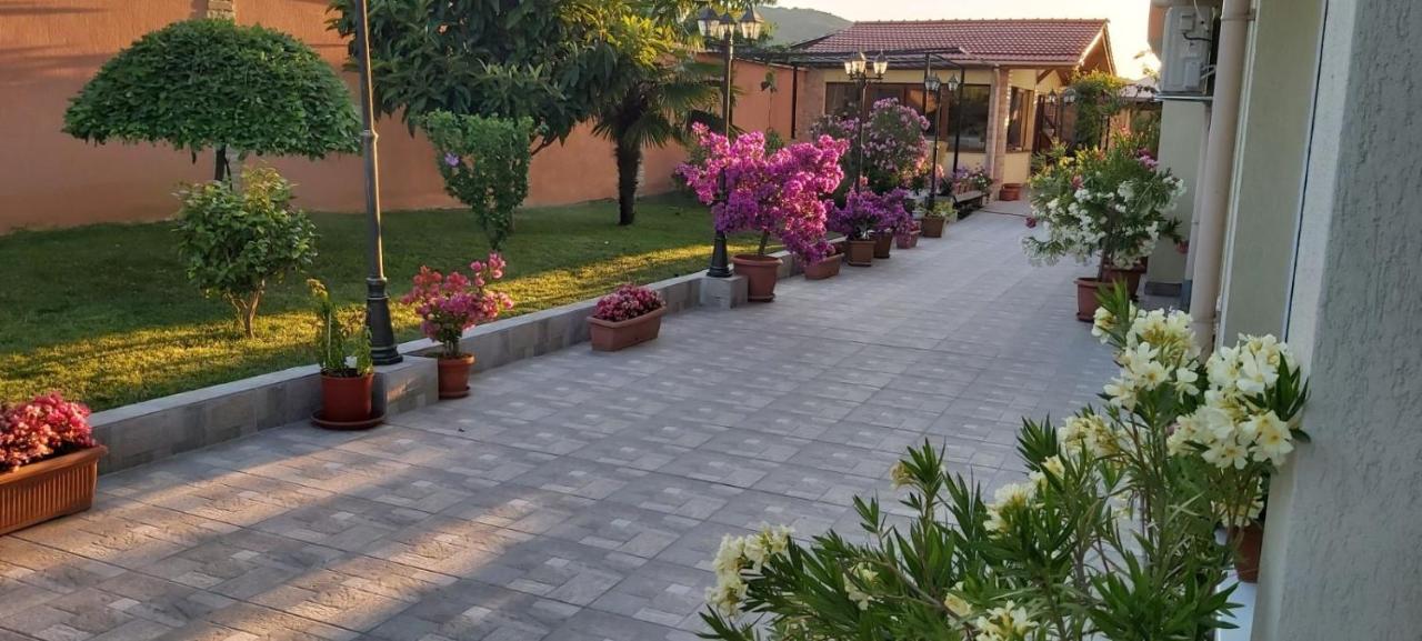 Амида Varvara (Burgas) Exterior foto
