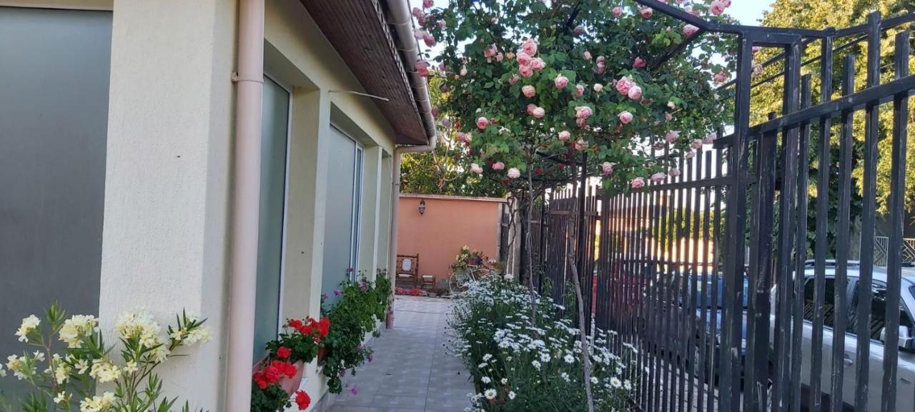 Амида Varvara (Burgas) Exterior foto